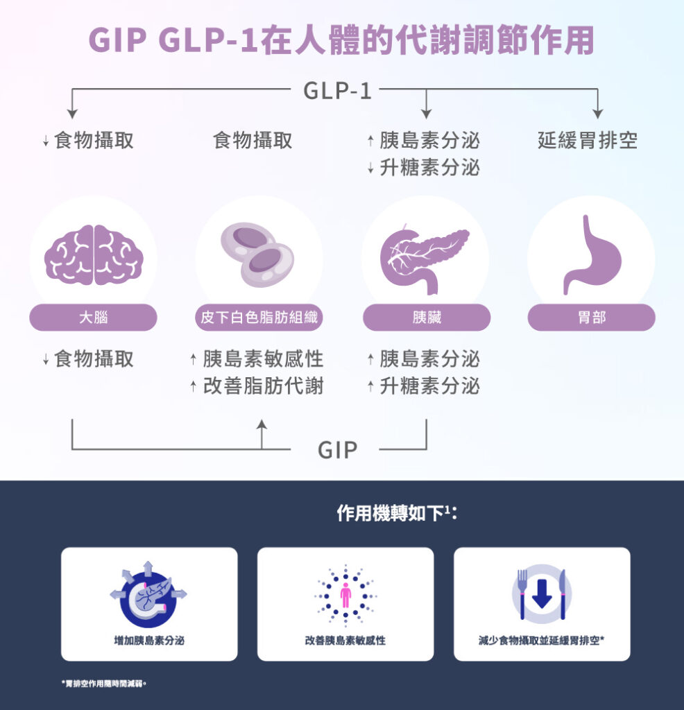 glp 1 猛健樂 猛健樂|高雄台北台中體重管理診所- 璧時尚醫美 glp 1 猛健樂 猛健樂|高雄台北台中體重管理診所- 璧時尚醫美