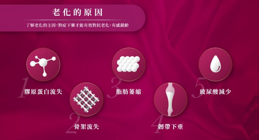 Sculptra 4D 舒顏萃 02 璧˙時尚醫美診所_舒顏萃_Sculptra_童妍針_醫美推薦_蘋果肌_聚左旋乳酸_PLLA_法令紋_臉頰凹陷_高雄醫美_台中醫美_台北醫美_醫美推薦